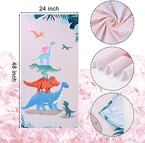 LIVILAN Microfiber Dinosaur Beach Towel for Kids 24x48